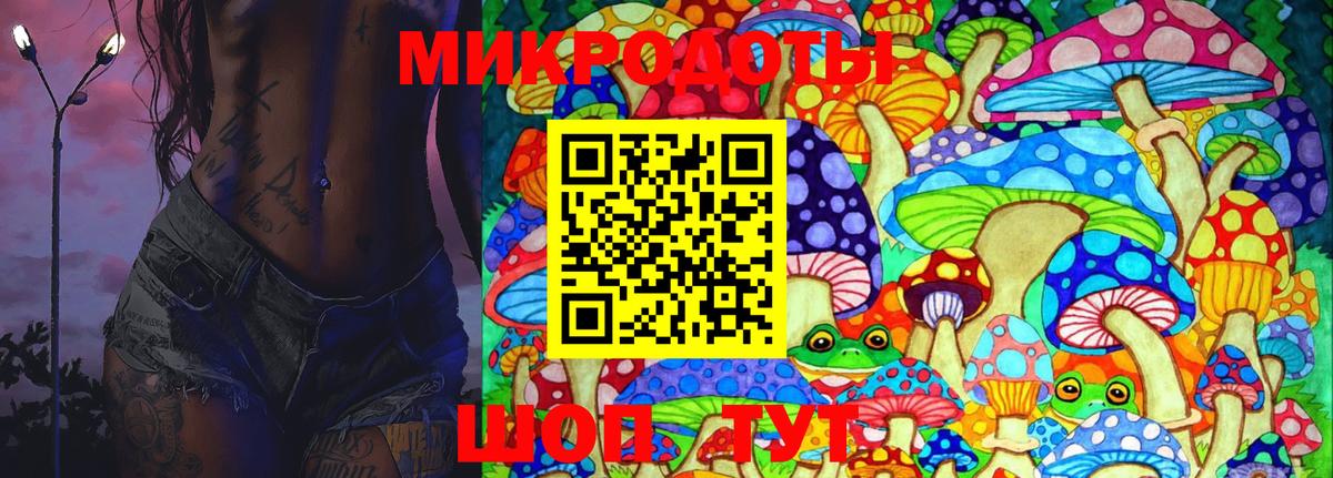 Псилоцибиновые грибы GOLDEN TEACHER Карасук