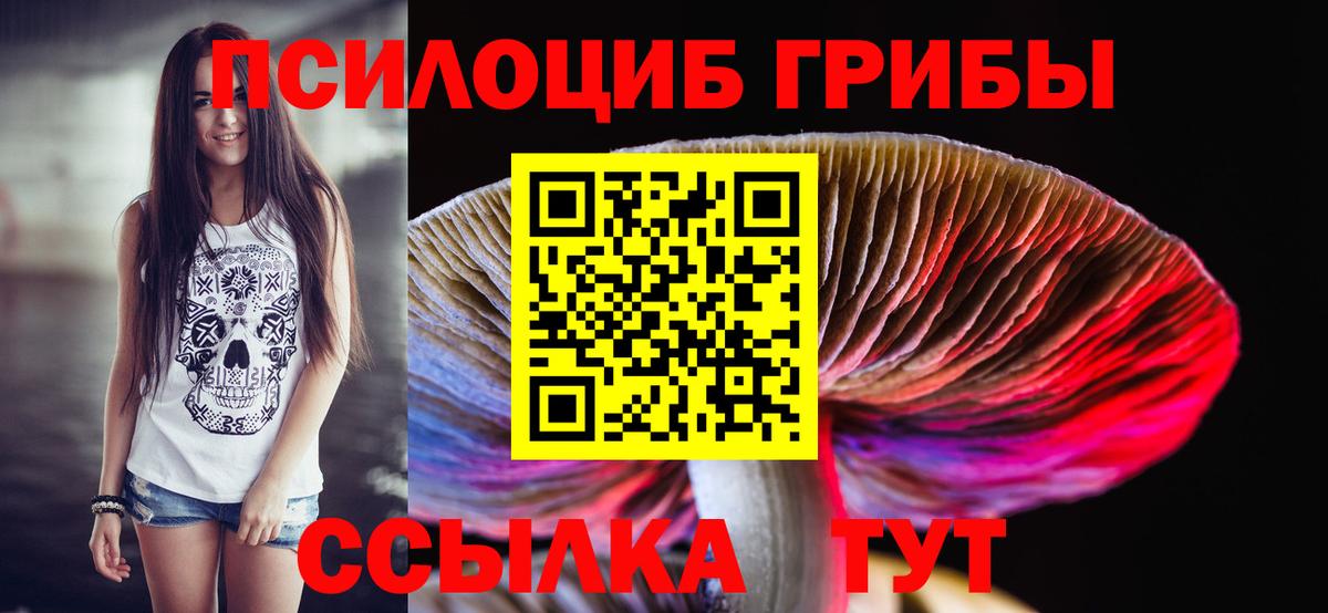 Псилоцибиновые грибы Psilocybe  Вход с VPN  Карасук  где продают наркотики  Псилоцибиновые грибы мухоморы 
